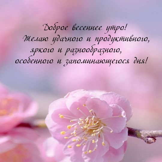 Доброе весеннее утро! Желаю удачного дня!