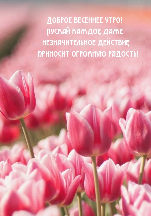 Доброе весеннее утро! Пускай каждое действие приносит радость!