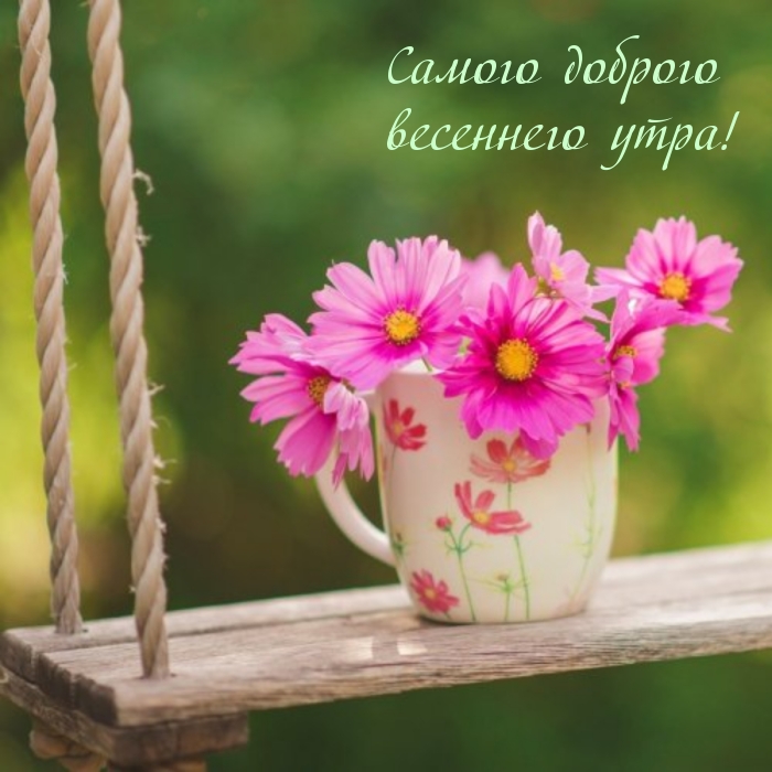 Самого доброго весеннего утра!