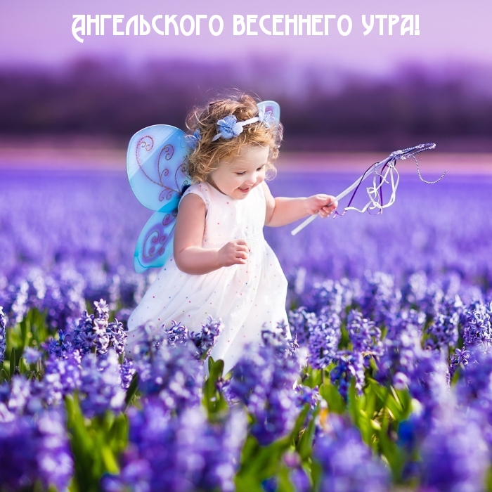 Ангельского весеннего утра!