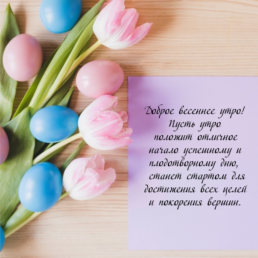 Доброе весеннее утро! Пусть утро положит отличное начало дню