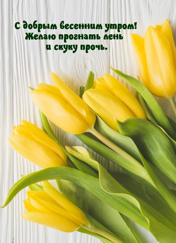 С добрым весенним утром! Желаю прогнать лень и скуку прочь.