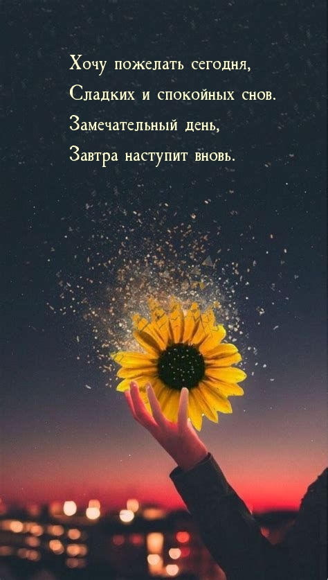 Хочу пожелать сегодня сладких и спокойных снов.