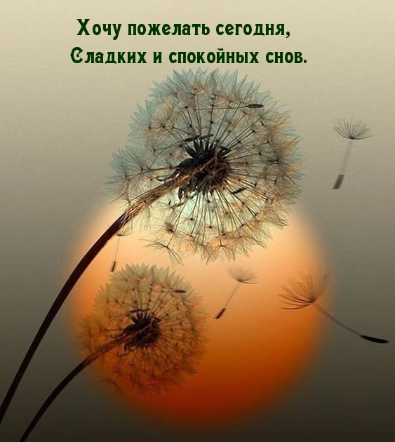 Хочу пожелать сегодня, сладких и спокойных снов.