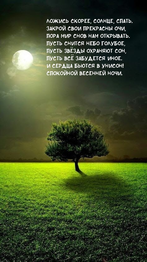 Ложись скорее, солнце, спать. Спокойной весенней ночи.