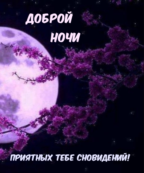 Доброй ночи Приятных тебе сновидений