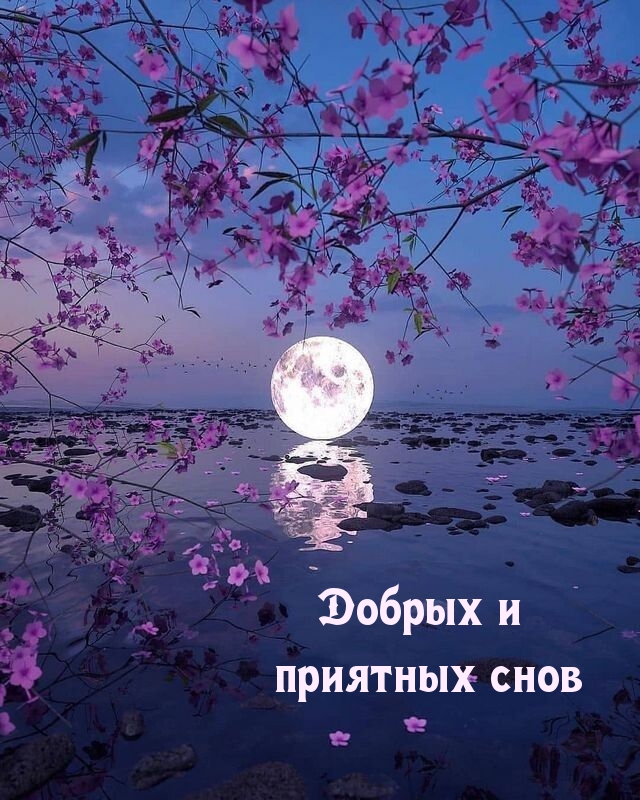 Добрых и приятных снов