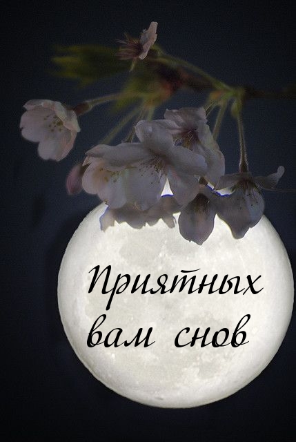 Приятных вам снов