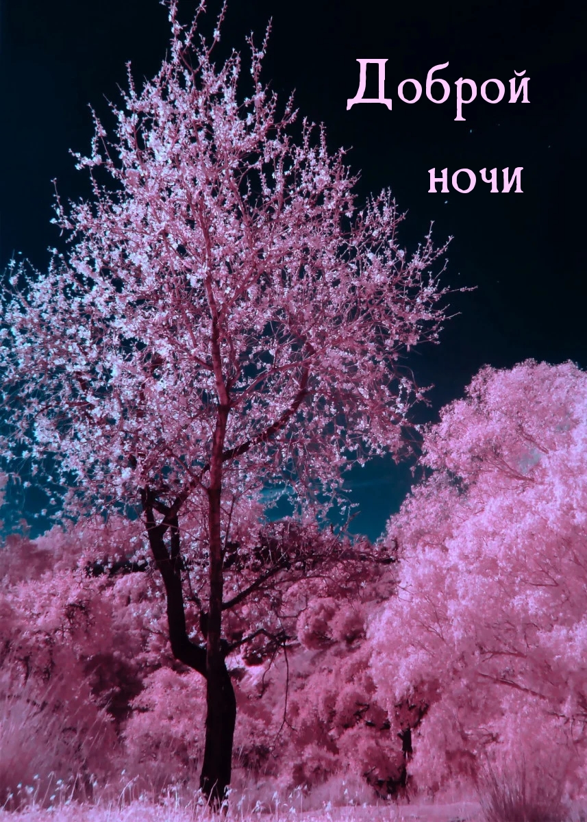 Доброй ночи