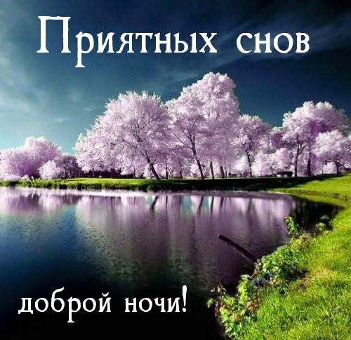 Приятных снов доброй ночи