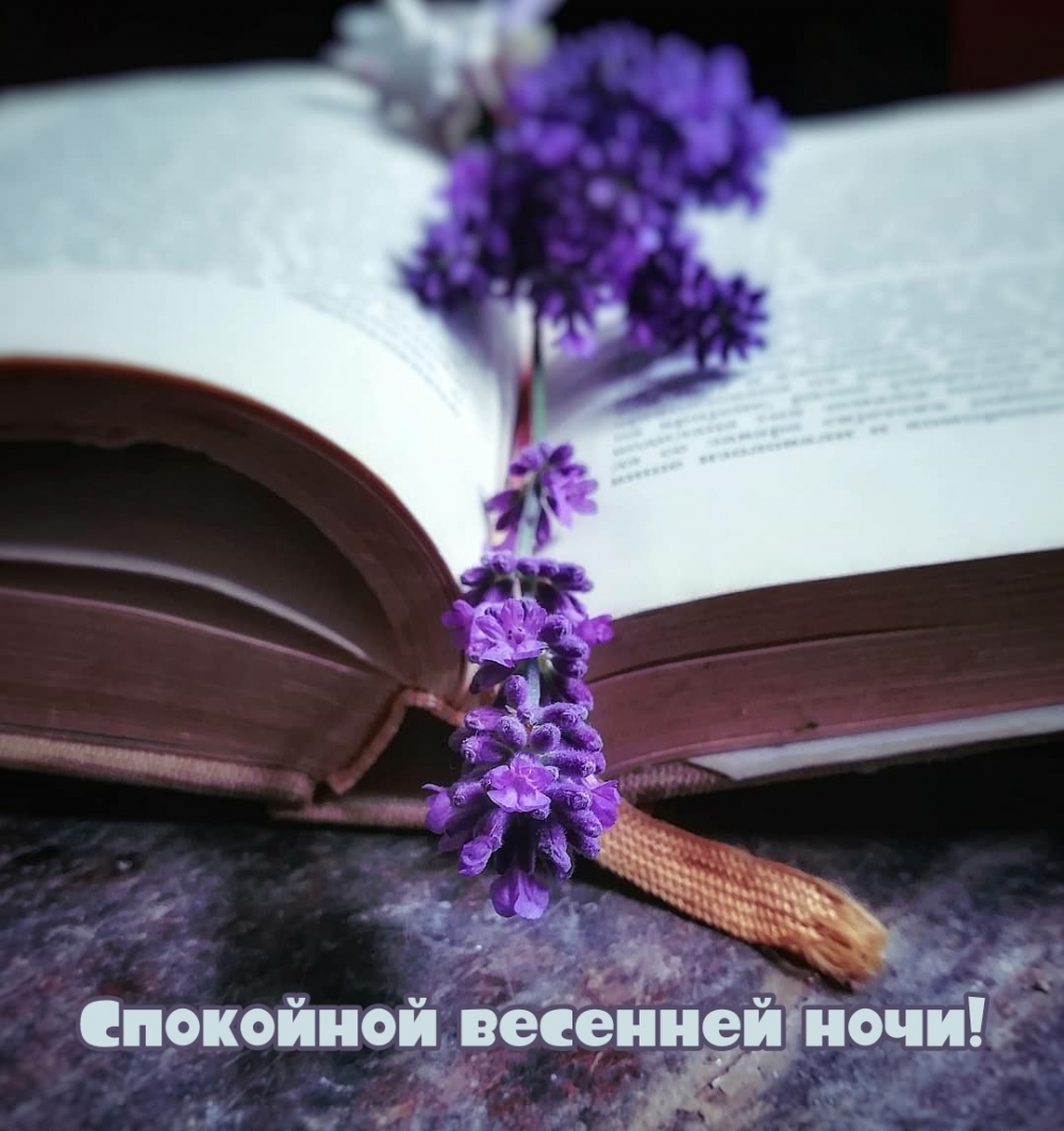 Спокойной весенней ночи!