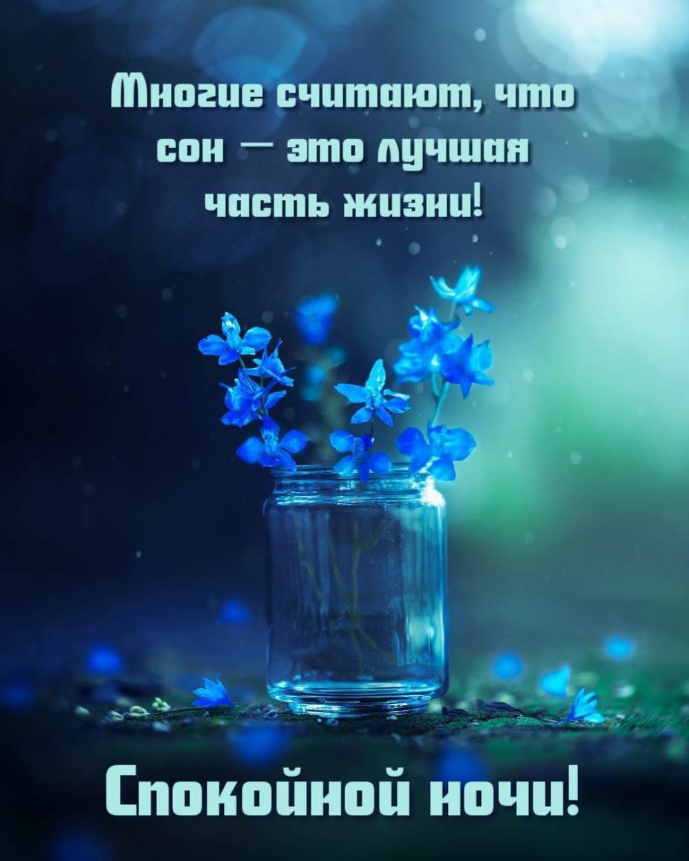 Многие считают, что сон ― это лучшая часть жизни! Спокойной ночи!