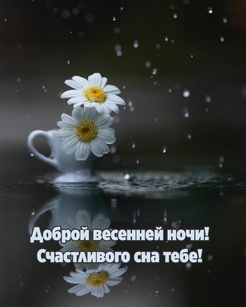 Доброй весенней ночи! Счастливого сна тебе!