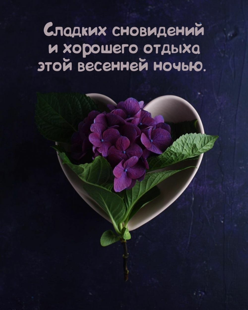Сладких сновидений и хорошего отдыха этой весенней ночью.