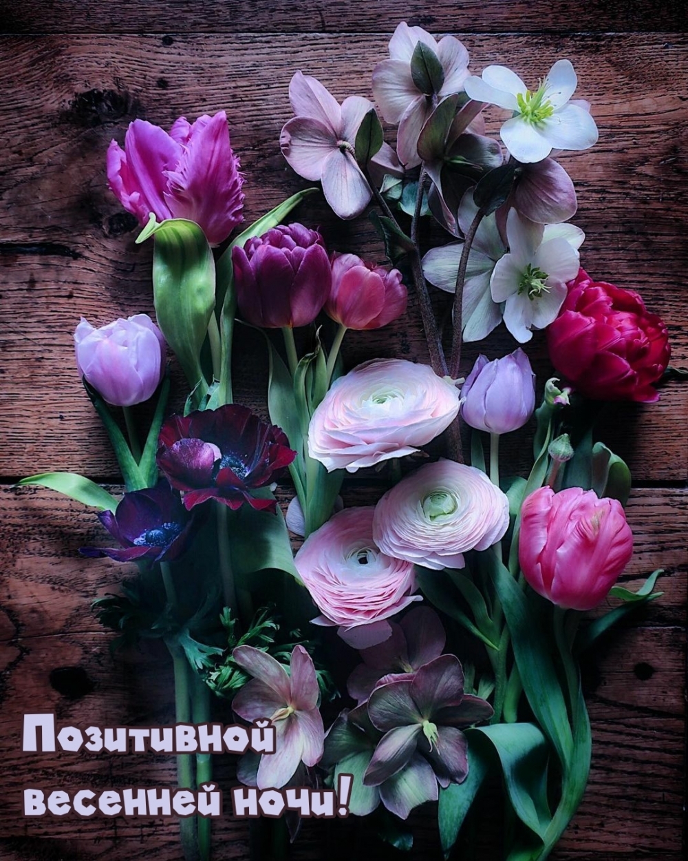 Позитивной весенней ночи!