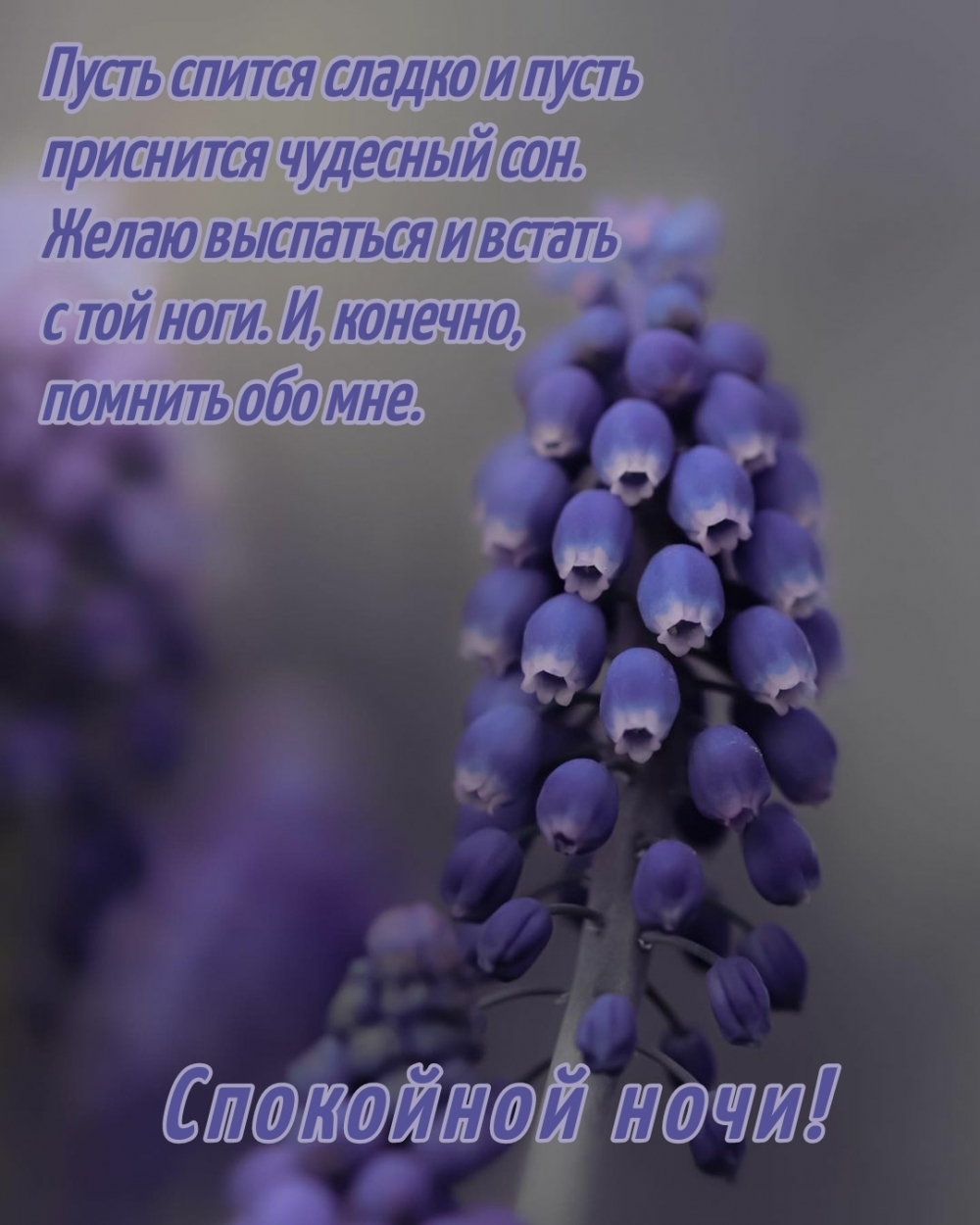 Пусть спится сладко. Спокойной ночи!