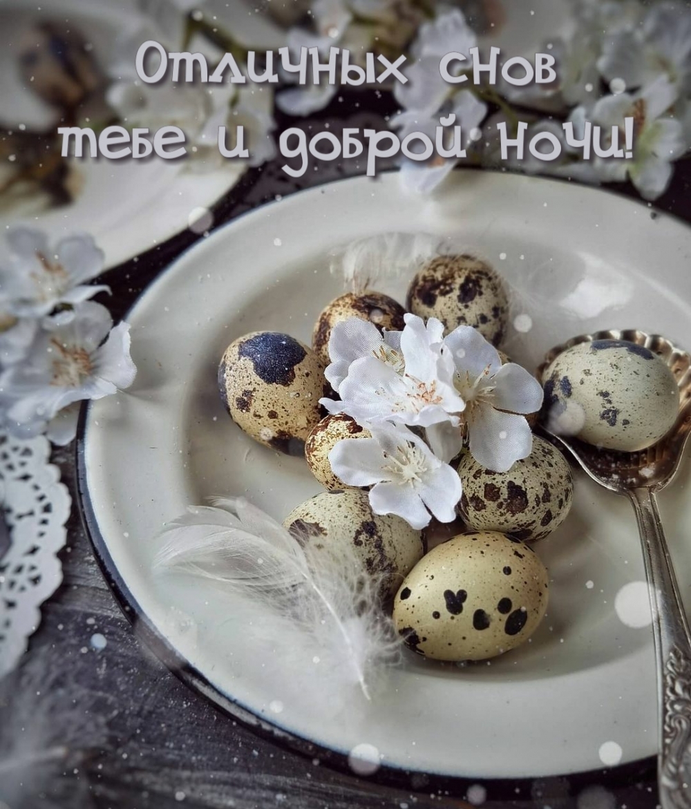 Отличных снов тебе и доброй ночи!