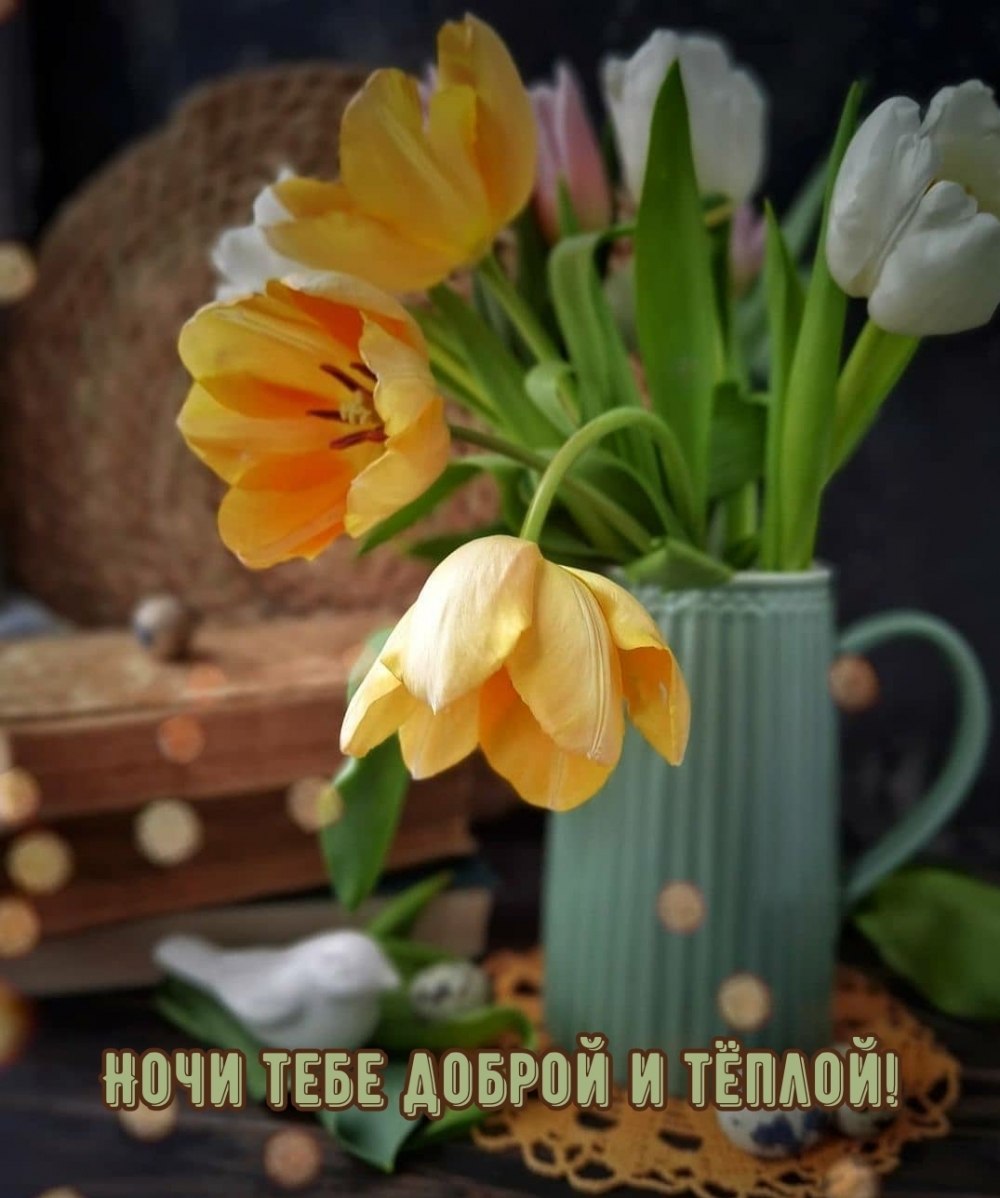 Ночи тебе доброй и тёплой!