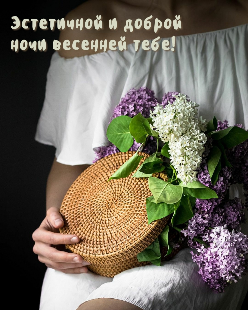 Эстетичной и доброй ночи весенней тебе!