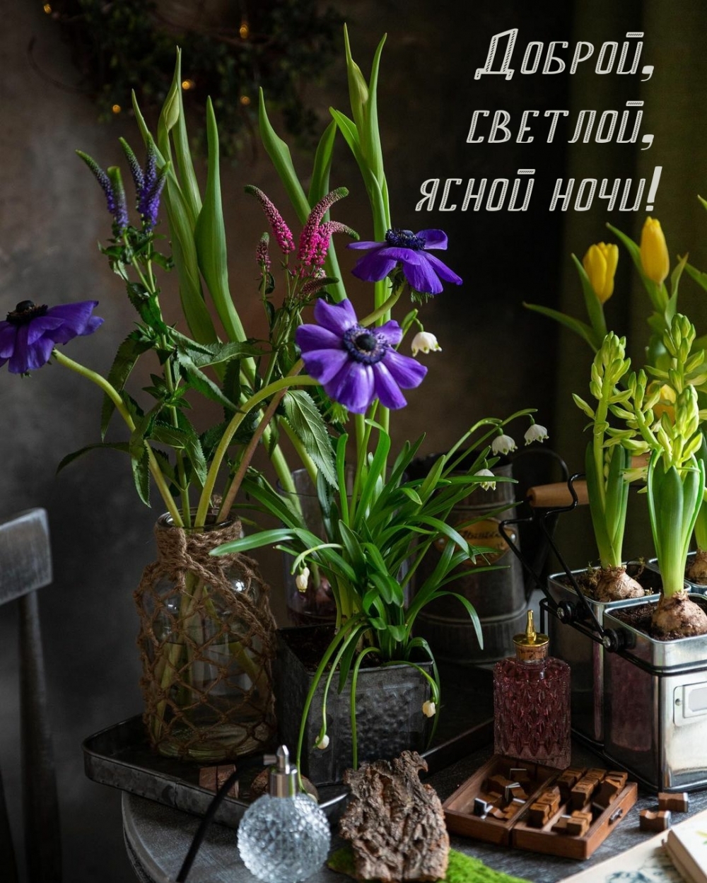Доброй, светлой, ясной ночи!