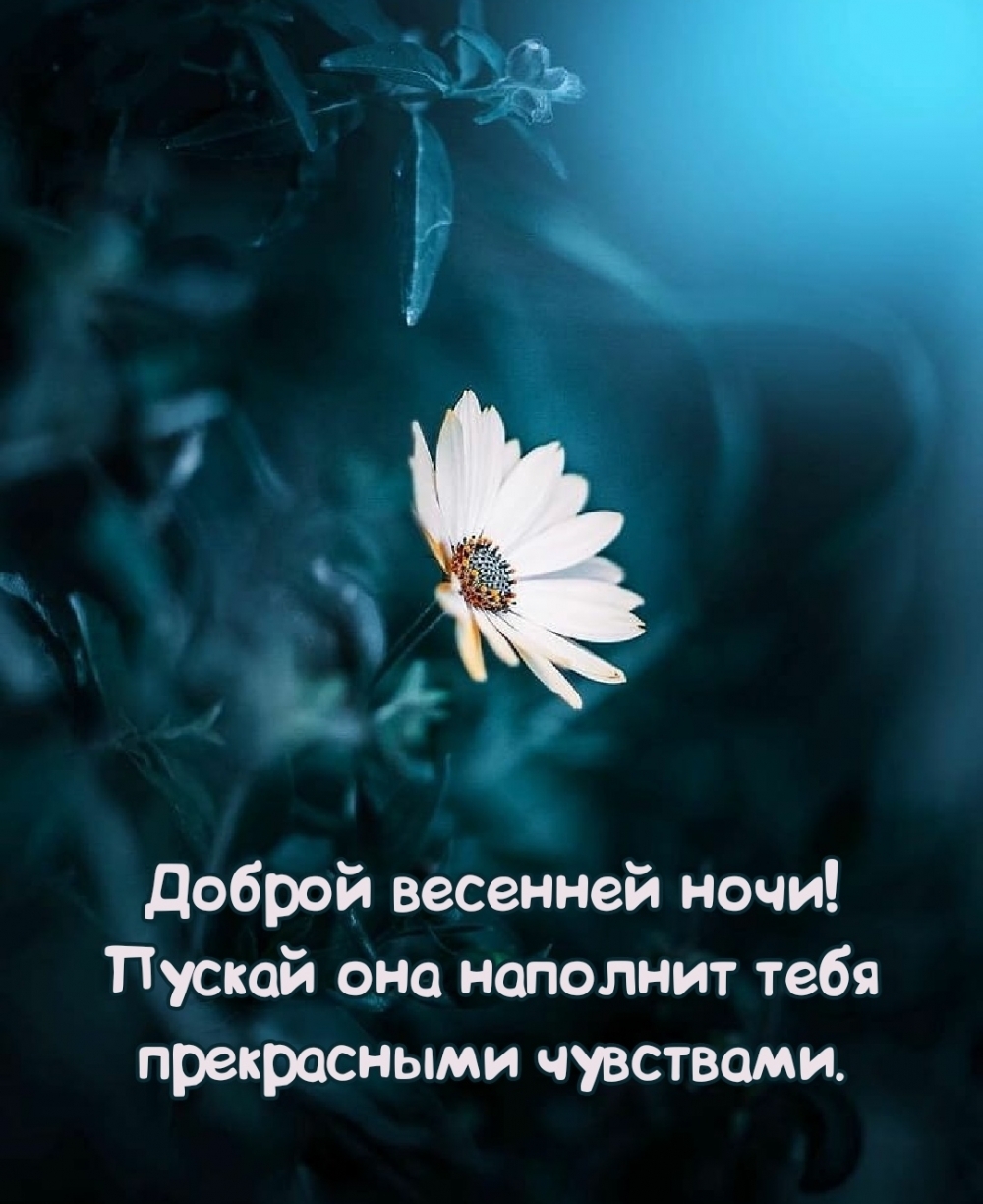 Доброй весенней ночи! Пускай наполнит прекрасными чувствами.