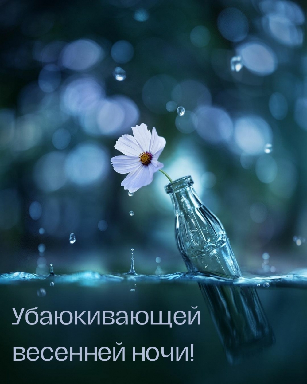 Убаюкивающей весенней ночи!