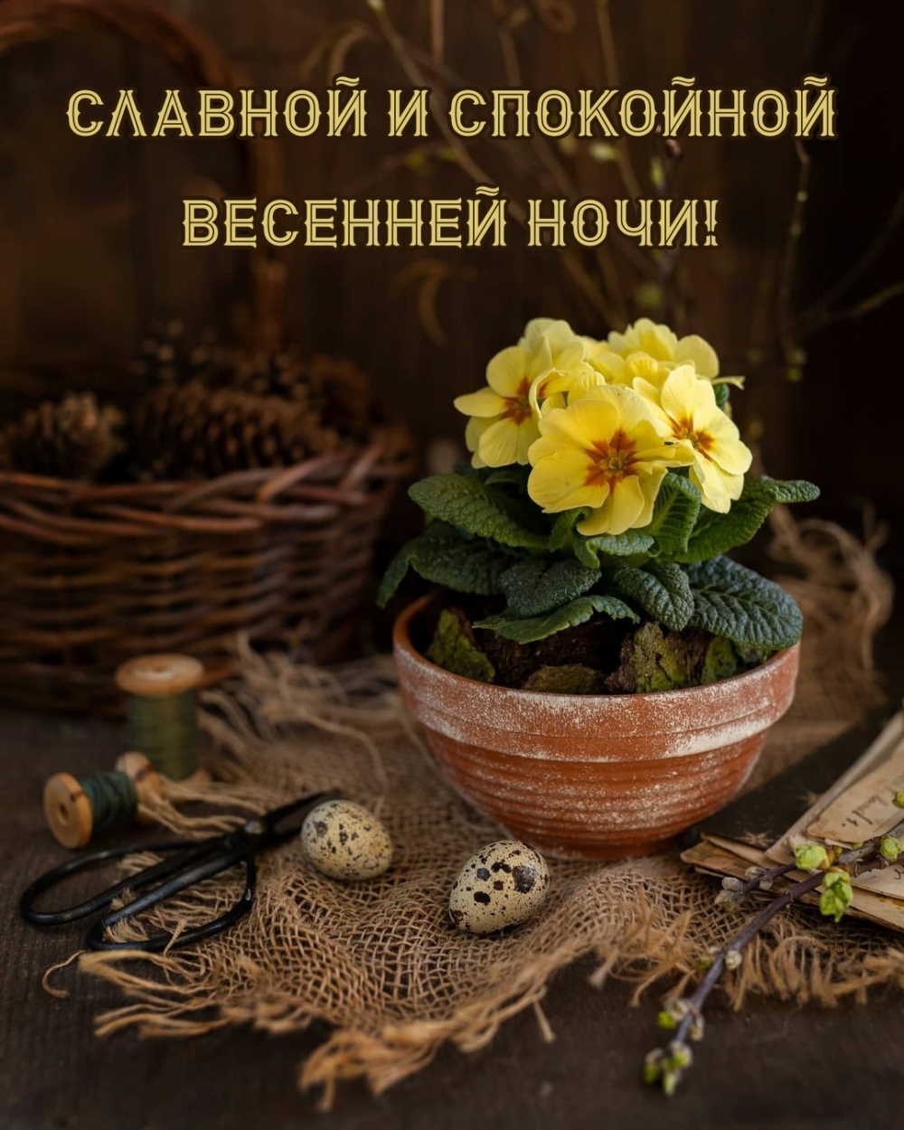 Славной и спокойной весенней ночи!