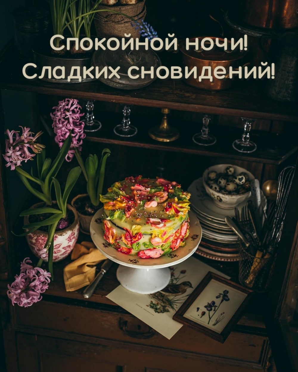 Спокойной ночи! Сладких сновидений!