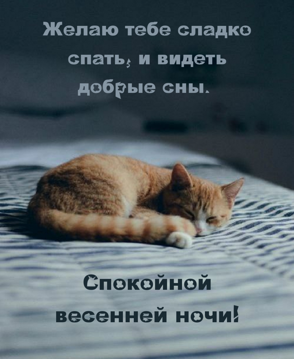 Желаю тебе сладко спать. Спокойной весенней ночи!