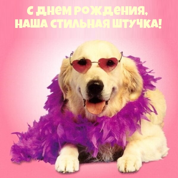 С днем рождения, наша стильная штучка!