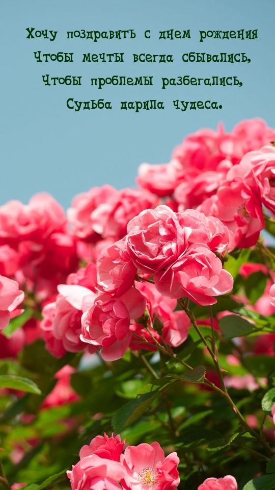 Хочу поздравить с днем рождения