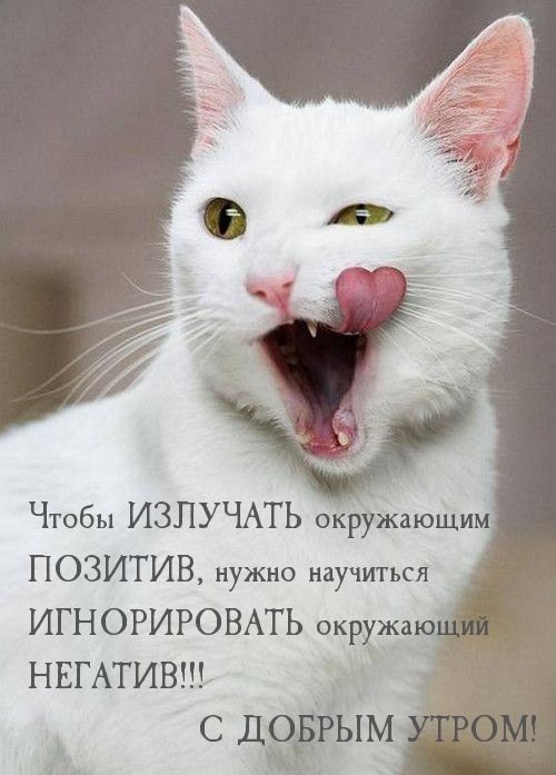 С добрым утром!