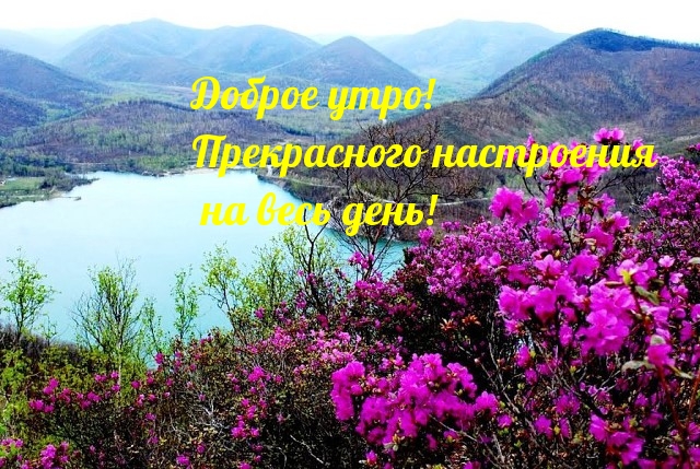 Доброе утро! Прекрасного настроения на весь день!