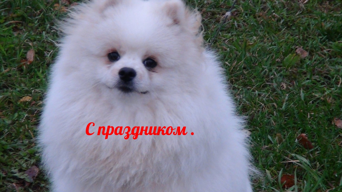 С праздником
