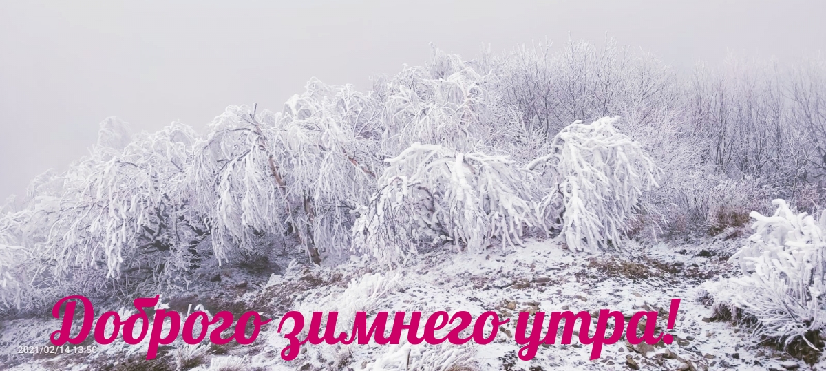 Доброго зимнего утра!