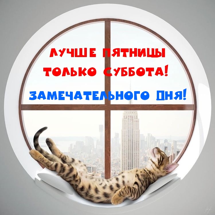 Замечательного дня!
