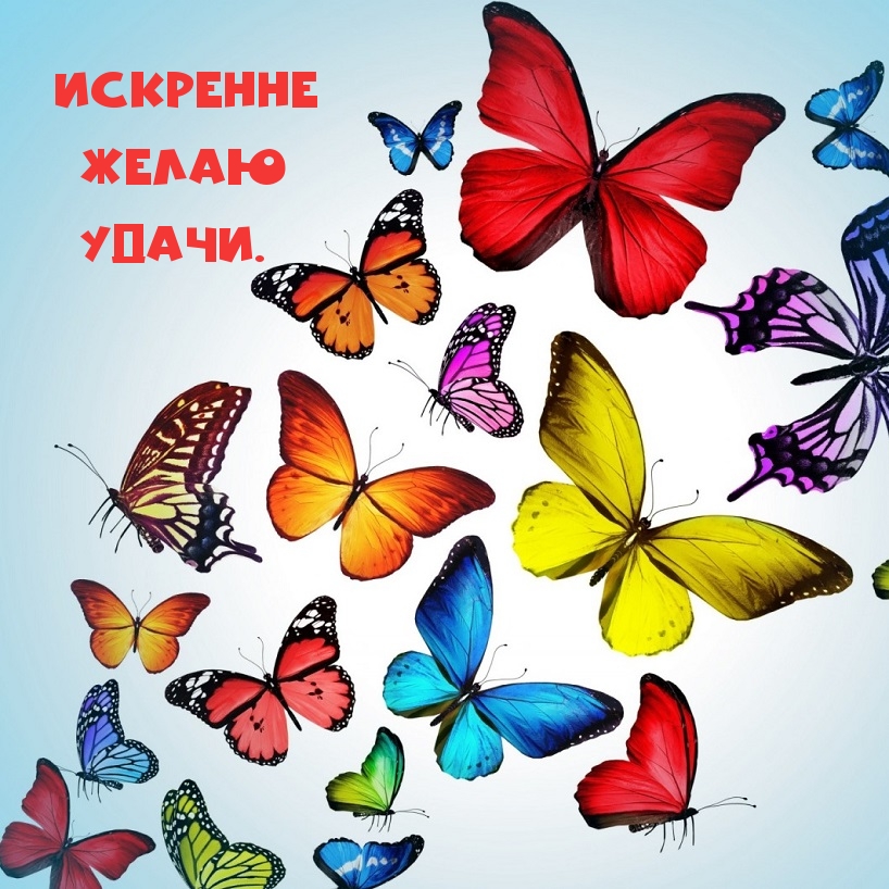 Искренне желаю удачи.