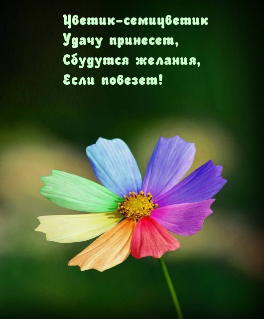 Цветик-семицветик удачу принесет