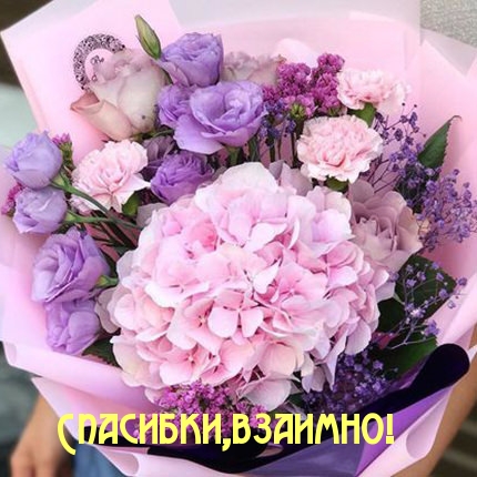 Спасибки, взаимно!