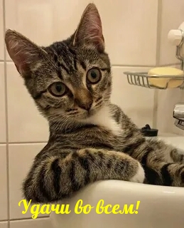 Удачи во всем!