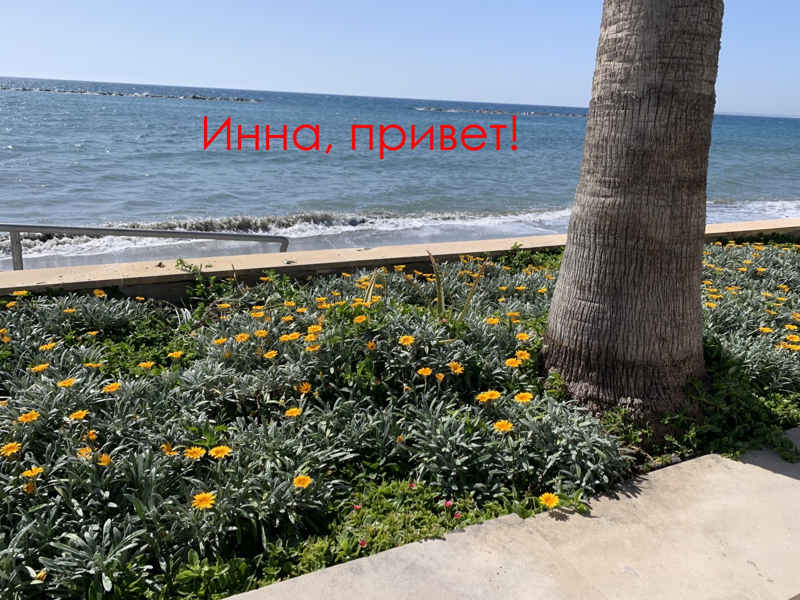 Инна, привет!