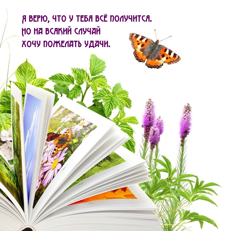 Я верю, что у тебя всё получится. Удачи