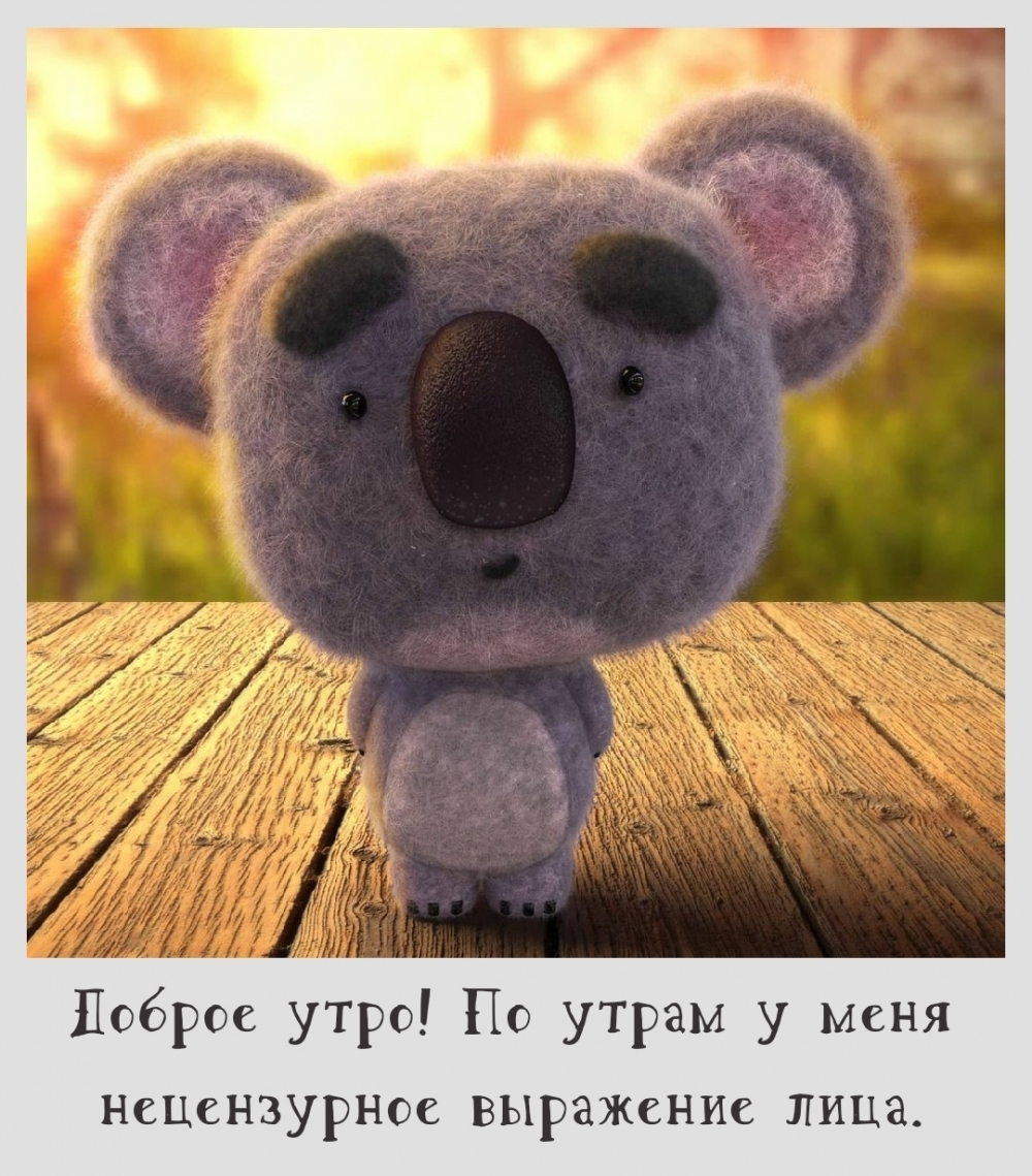 Доброе утро! По утрам у меня нецензурное выражение лица.
