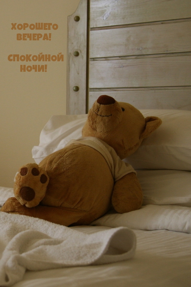 Хорошего вечера! Спокойной ночи!