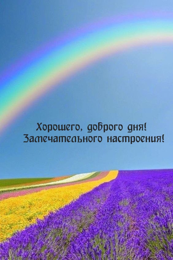 Хорошего, доброго дня! Замечательного настроения!