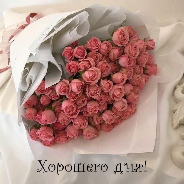 Хорошего дня!