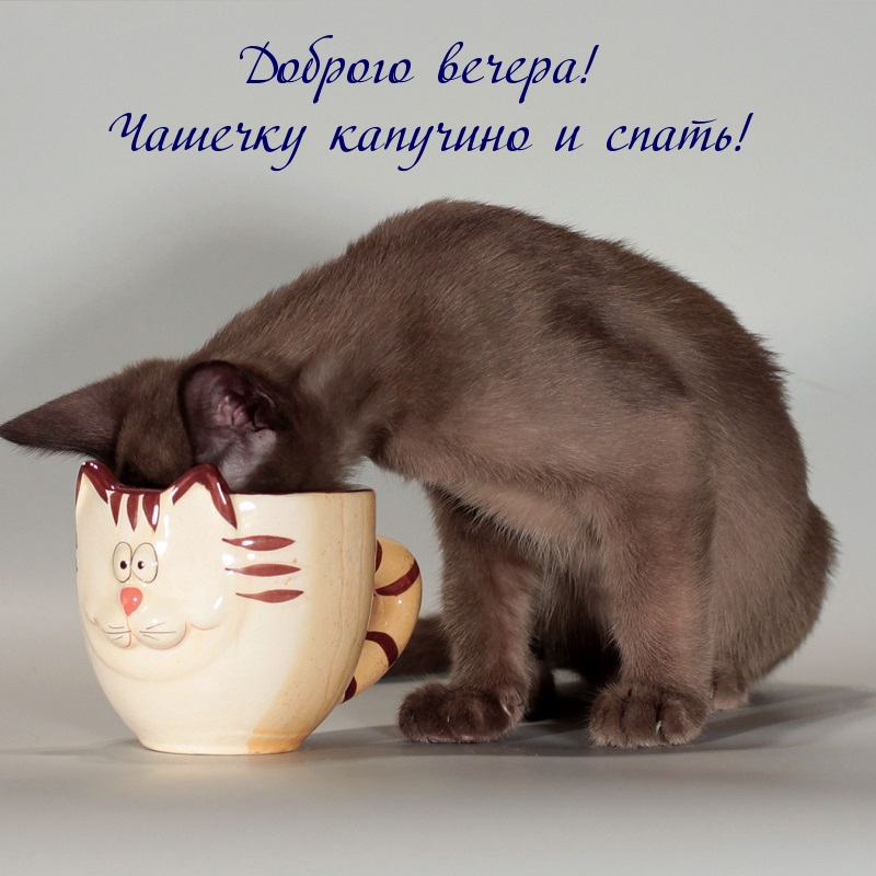 Доброго вечера! Чашечку капучино и спать!