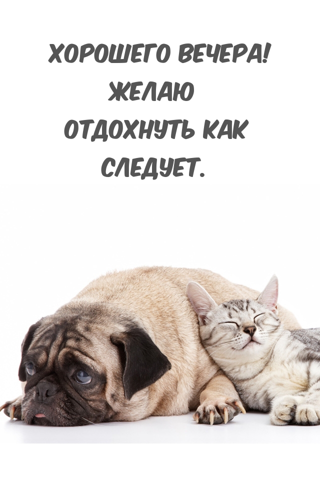 Хорошего вечера! Желаю отдохнуть как следует.