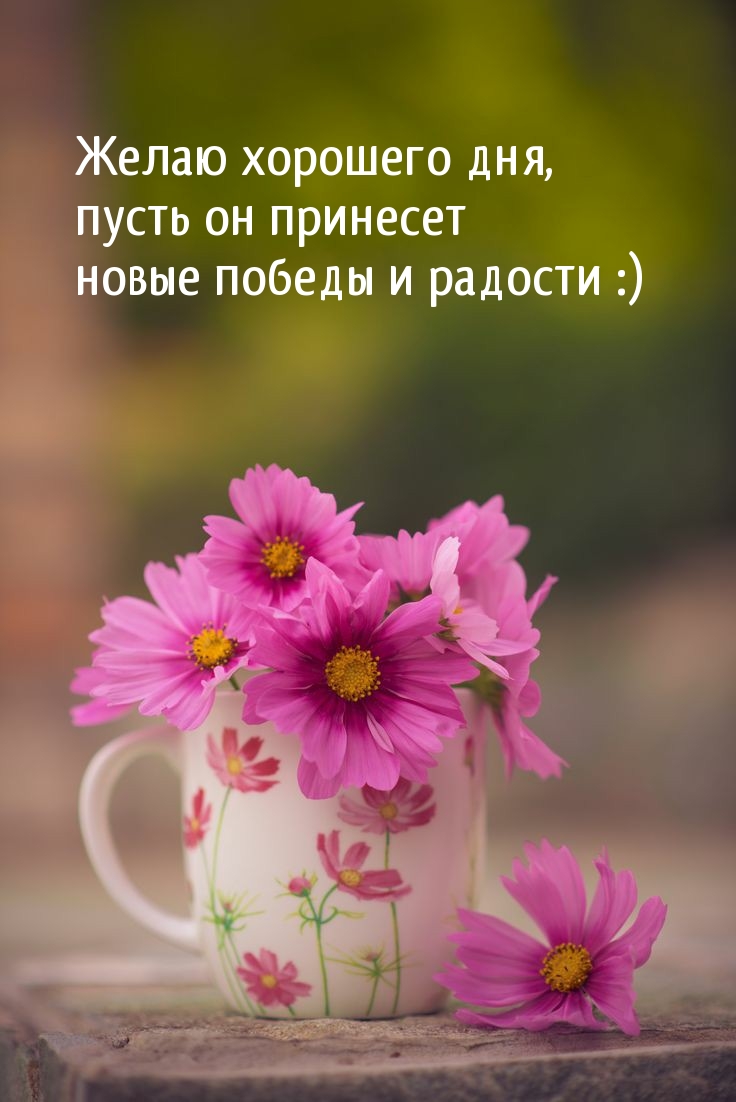 Желаю хорошего дня, пусть он принесет новые победы и радости