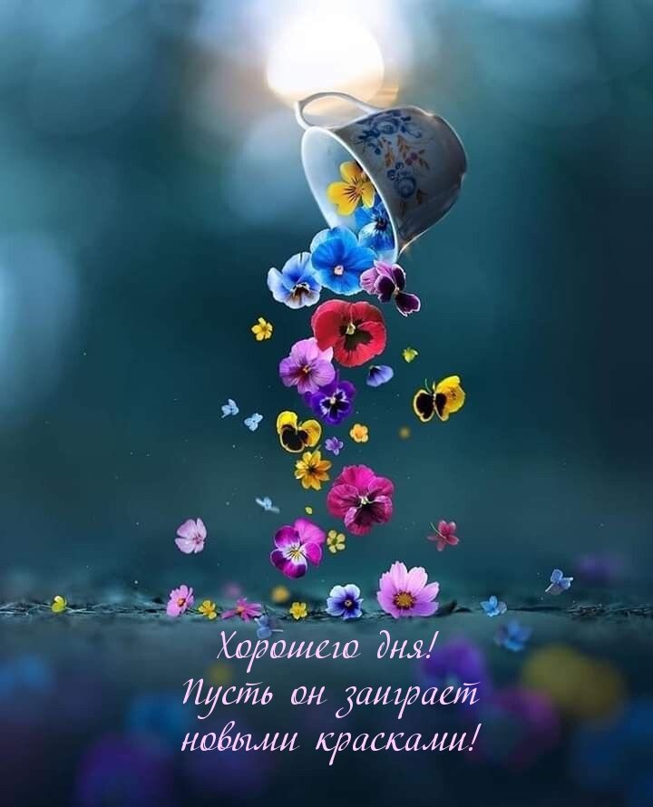 Хорошего дня! Пусть он заиграет новыми красками!
